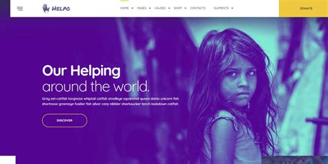 best wordpress themes for nonprofits